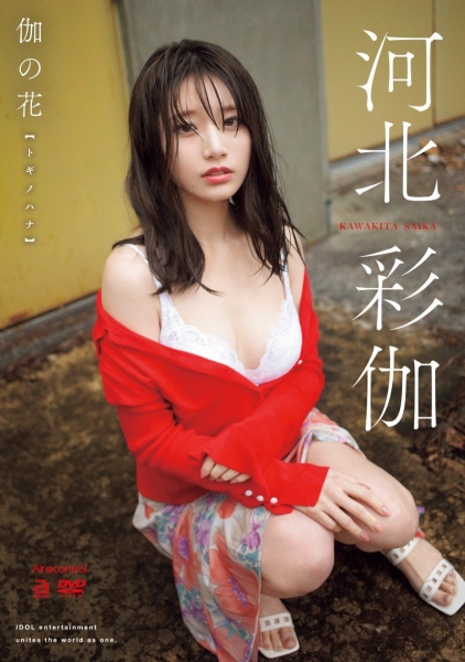 11月销售排行榜出炉！她拿下了大三元！ 