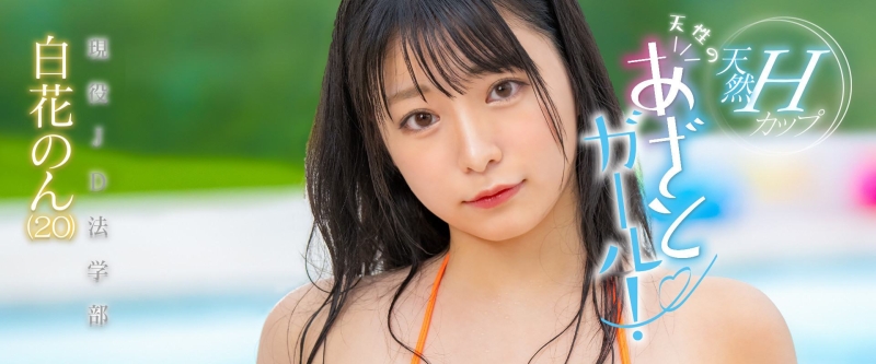 其实没有删帐号？巨乳写真女优白花のん(白花暖)消失之谜解析！ ... 