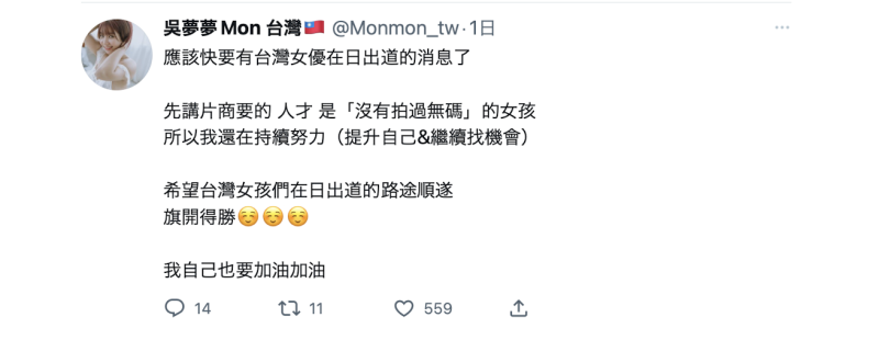 不只香港来的絵丽奈！台湾女优即将登场！ 