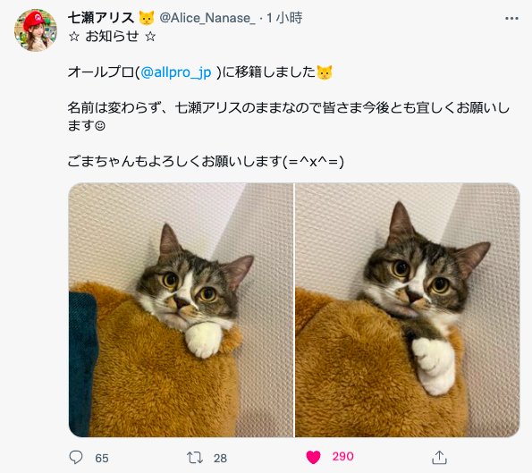 新东家终于确定！七瀬アリス(七濑爱丽丝)要冲了！ 