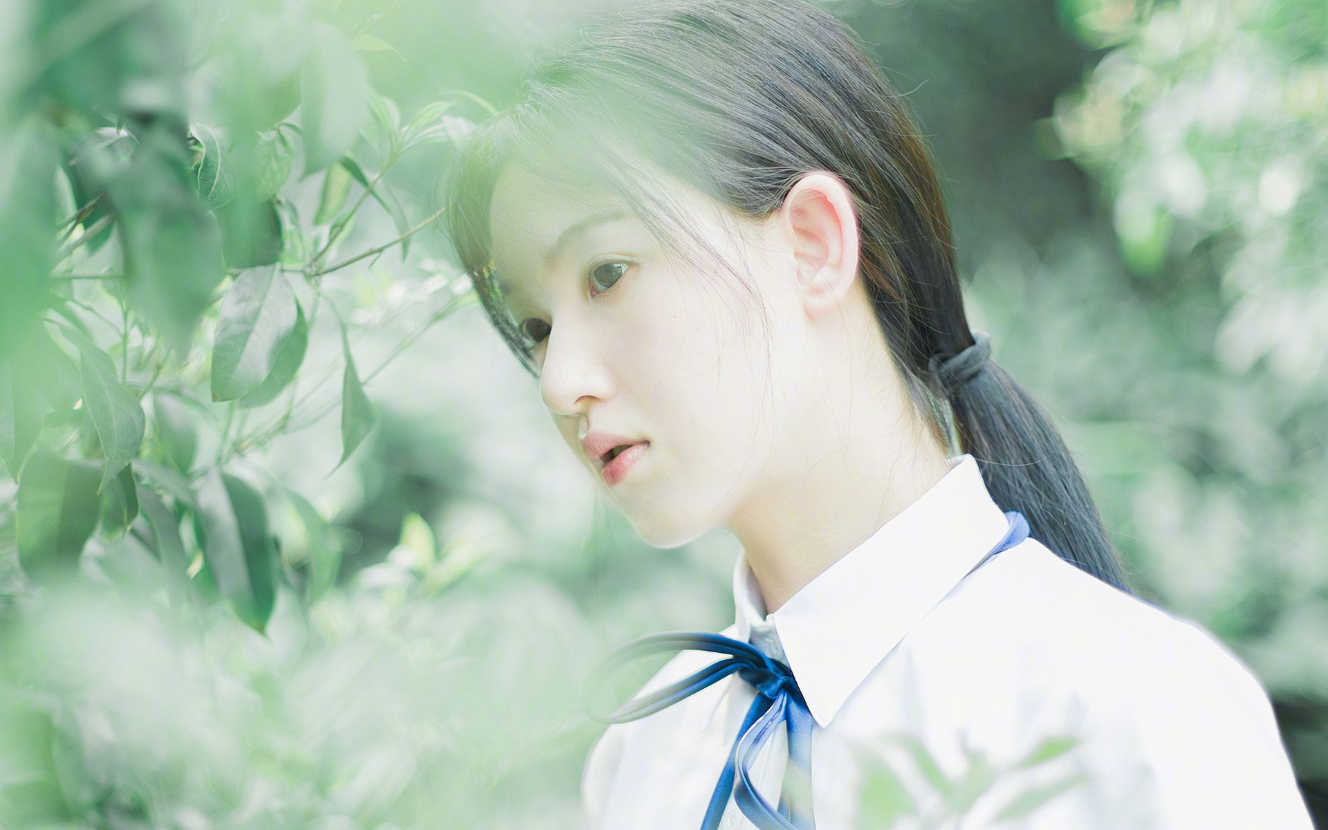 CHV-22番号影评：剧情分析与演员表现深度解读