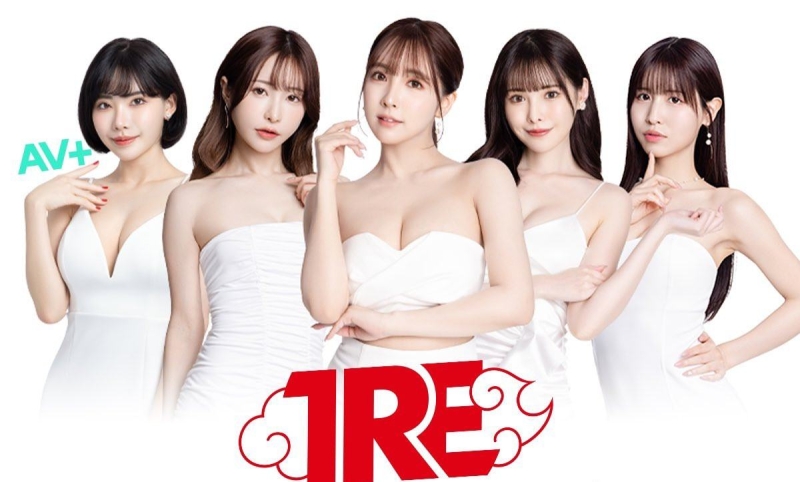 TRE完全攻略！这样互动不踩雷！ 